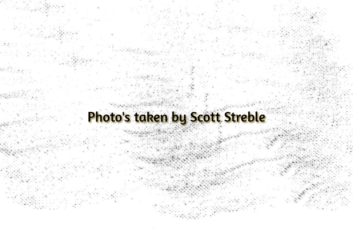 Scott Streble 1.jpg